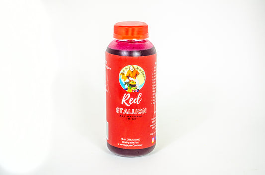 Red Stallion